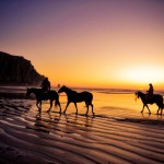 Horses on the Beach